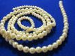 White beads from pearls on a dark blue background