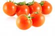 nice fresh tomatoes