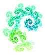 paisley pattern abstract