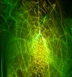 lemon and lime abstract