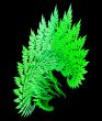 green ferns abstract