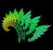 Summer ferns abstract