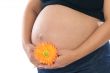 Pregnant whit flower