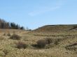 hills