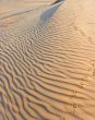 Sandy waves.
