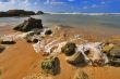 Foamy wave