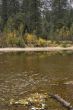 In the autumn of water it is a little