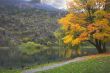 Autumn on lake