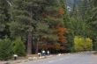 The autumn begins.