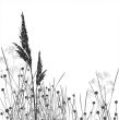 Grass silhouettes / vector