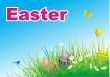 easter eggs on green grass