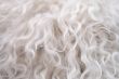 Sheep fur