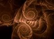 Orange spiral