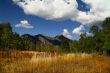 Mountain Meadow
