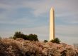 Cherry Blossom and Washington Monument