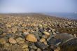 Granite pebbles, rounded by the ocean