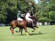 Playing Polo