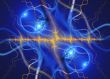 Energy of ovulation