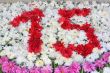 Number 15 with flowers