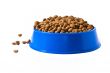 Pet`s bowl with meal