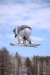 snowboarder twist jumping