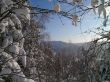 winter forest in mountains
