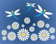chamomiles and dragonflies