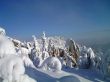 winter in mountains, forest, rocks