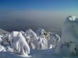winter in mountains, forest, rocks