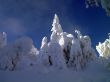 winter in mountains, forest, rocks