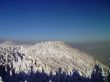 winter in mountains, forest, rocks