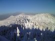 winter in mountains, forest, rocks