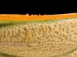 Ripe melon