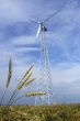 Wheaten field with a windmill