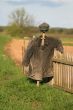 Garden Scarecrow