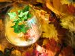 still-life