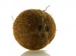 close up shot of fresh single coconut