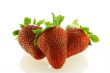 tree fresch ripe strawberries