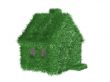 Small green house covered with a grass. 3D image.