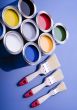 Paint brush and paint