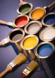 Paint brush and paint
