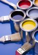 Paint brush and paint