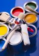 Paint brush and paint