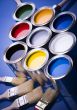 Paint brush and paint