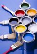 Paint brush and paint