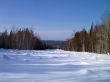 winter in mountains, forest