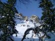 winter in mountains, rocks, woods