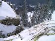 winter in mountains, forest, rocks