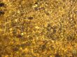 gold water texture