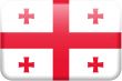Georgia Flag Button